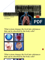  Respiratory System