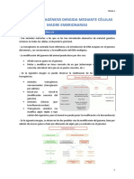 Tema 4: Mutagénesis Dirigida Mediante Células Madre Embrionarias