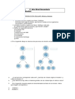 Mitosis y Meiosis