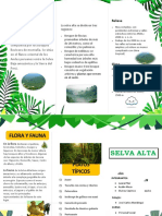 Triptico de La Selva