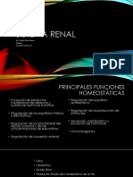 Sistema Renal