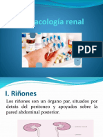 Fisiologia Renal