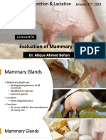 L-02 - Evaluation of Mammary Glands