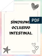 Oclusión Intestinal