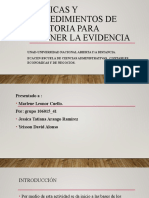 Técnicas y Procedimientos de Auditoria