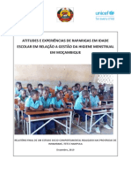 Atitudes E Experiências de Raparigas em Idade Escolar em Relação A Gestão Da Higiene Menstrual em Moçambique