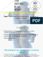 Department of Anatomy:: Physiological and Pathological Curvatures of