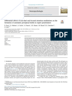 Differential Effects of Non-Dual and Focused Attention Meditations On The Formation of Automatic Perceptual Habits in Expert Practitioners