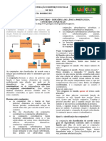 Conteudo CONJUNÇÃO PREPARATÓRIO