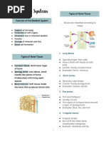 ANAPHY SKELETAL SYSTEM Midterms