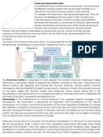 Science 10 Handout - Nervous and Endocrine