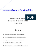 11.1 - Gliconeogênese Durante o Exercício