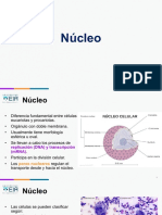 09 Nucleo