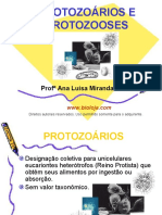 Protozoários E Protozooses: Prof Ana Luisa Miranda Vilela