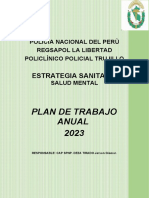 Plan de Trabajo Anual 2023 - Salud Mental