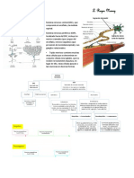 Histo - Resumenes de Nancy 2 - Removed