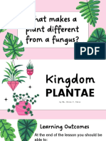 Kingdom Plantae 2023