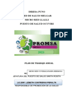 Plan Anual de Promsa