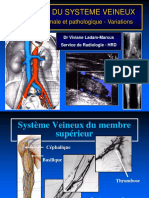 Imagerie Du Systeme Veineux: Imagerie Normale Et Pathologique - Variations