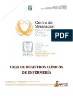 Hoja de Registros Clínicos de Enfermería