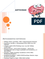 Neuroplasticidad