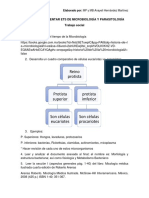 Reino Protista: Guía para Presentar Ets de Microbiología Y Parasitología Trabajo Social