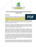 01 I Unidad Principios Rectores de Nuestro Codigo Procesal Penal