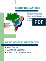 Domínios Morfoclimáticos Brasileiros