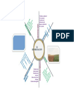 La Deforestación Mapa Telaraña