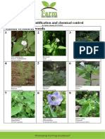 Weed Identification and Chemical Control.