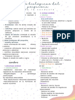 Bases Biológicas Del Psiquismo