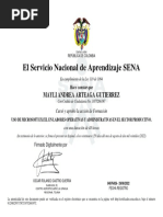 Certificado Microsoft Excel