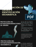 Actividad 4 - Denominación de Origen e Identificación Geográfica - Jaba2933388