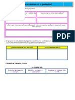 Ficha Cambios en La Pubertad