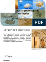 Artrópodos y Protozoarios en Cerdos: Integrantes