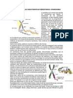 Transmisión de Las Caracteristicas Hereditarias