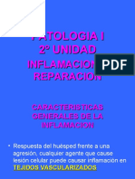 Inflamacion - 4