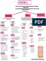 Mapa Conceptual Capas de La Piel