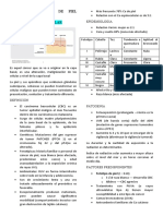 18 - 19 - Tumores Malignos de Piel