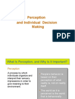 Perception and Individual Decision Making