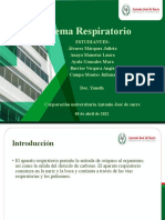 Patokinesis (Respiración) PATOLOGIAS