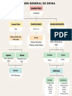 Mapa Conceptual Examen General de Orina El Bueno