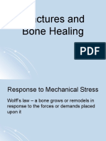 Fractures and Bone Healing