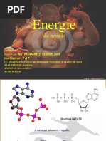 Energie B2