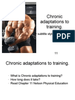 Chronic Adaptations To Training