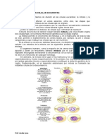 TP Mitosis y Meiosis