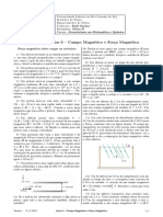 Lista de Exercícios 6 - Campo Magnético e Força Magnética