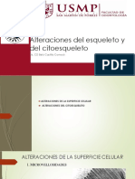 Alteraciones Del Citoesqueleto. Enfermedades de Deposito