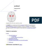 Amígdala Cerebral