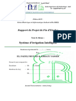 Rapport